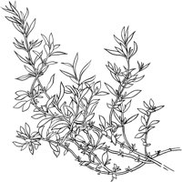 HRB026A.TIF