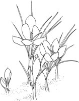 HRB023A.TIF