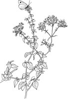 HRB019A.TIF