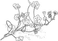 HRB017A.TIF