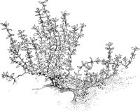 HRB015A.TIF