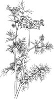 HRB011A.TIF