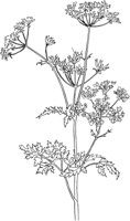 HRB008A.TIF