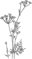 HRB007A.TIF