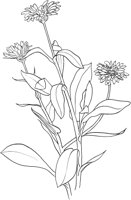 HRB006A.TIF