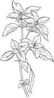 HRB003A.TIF