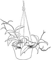 HPL040A.TIF