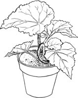 HPL033A.TIF