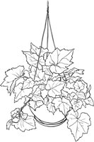 HPL030A.TIF