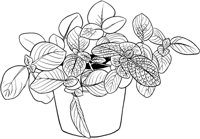 HPL028A.TIF