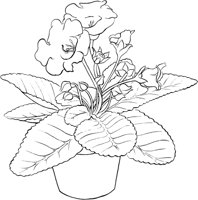 HPL022A.TIF