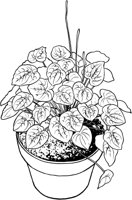 HPL017A.TIF