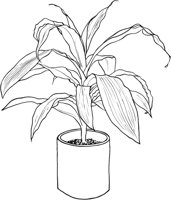 HPL014A.TIF