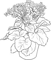 HPL011A.TIF