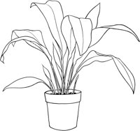 HPL010A.TIF