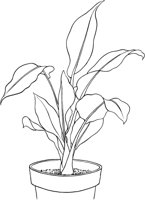 HPL003A.TIF