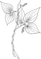 MDP047B.TIF