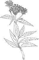 MDP046A.TIF