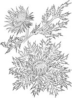 MDP045A.TIF