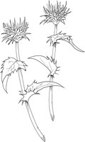 MDP044A.TIF