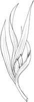 MDP040A.TIF