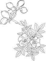 MDP039A.TIF