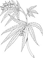 MDP033A.TIF