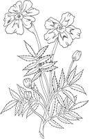MDP032A.TIF