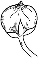 MDP031B.TIF