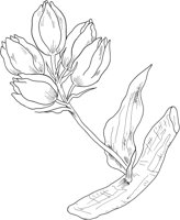 MDP027B.TIF
