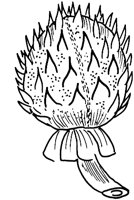 MDP026A.TIF