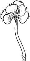 MDP024A.TIF