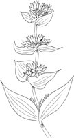 MDP023A.TIF
