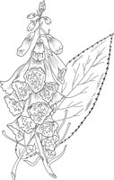 MDP022A.TIF
