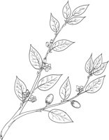 MDP015A.TIF