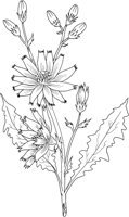 MDP014B.TIF