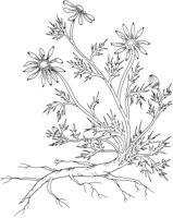 MDP013A.TIF
