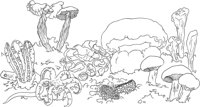 MSH038A.TIF