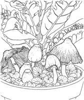 MSH012A.TIF