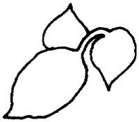 PAA030CH.TIF