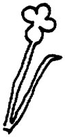 PAA030BQ.TIF