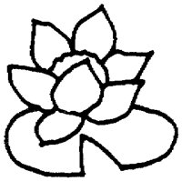 PAA030BM.TIF