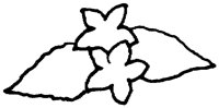 PAA030BJ.TIF