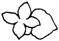 PAA030AN.TIF