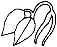 PAA030AG.TIF