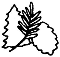 PAA029CJ.TIF