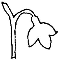 PAA029CB.TIF
