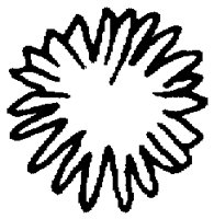 PAA029CA.TIF