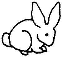 PAA029BX.TIF