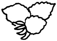 PAA029BL.TIF